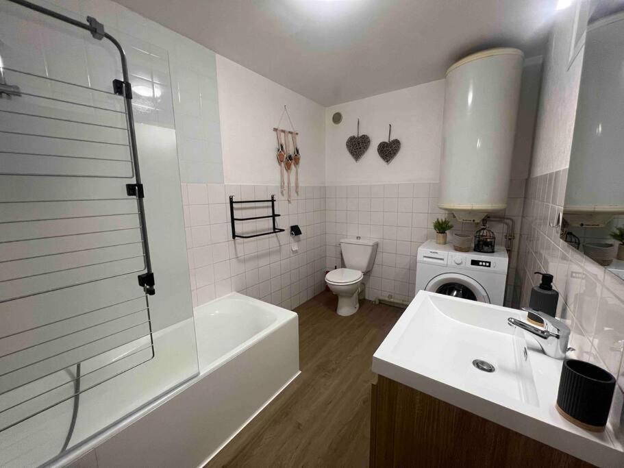 Appartement Centre-Ville / 6 Prsn / Bord Du Doubs / Au Pied De La Citadelle Besançon Eksteriør bilde