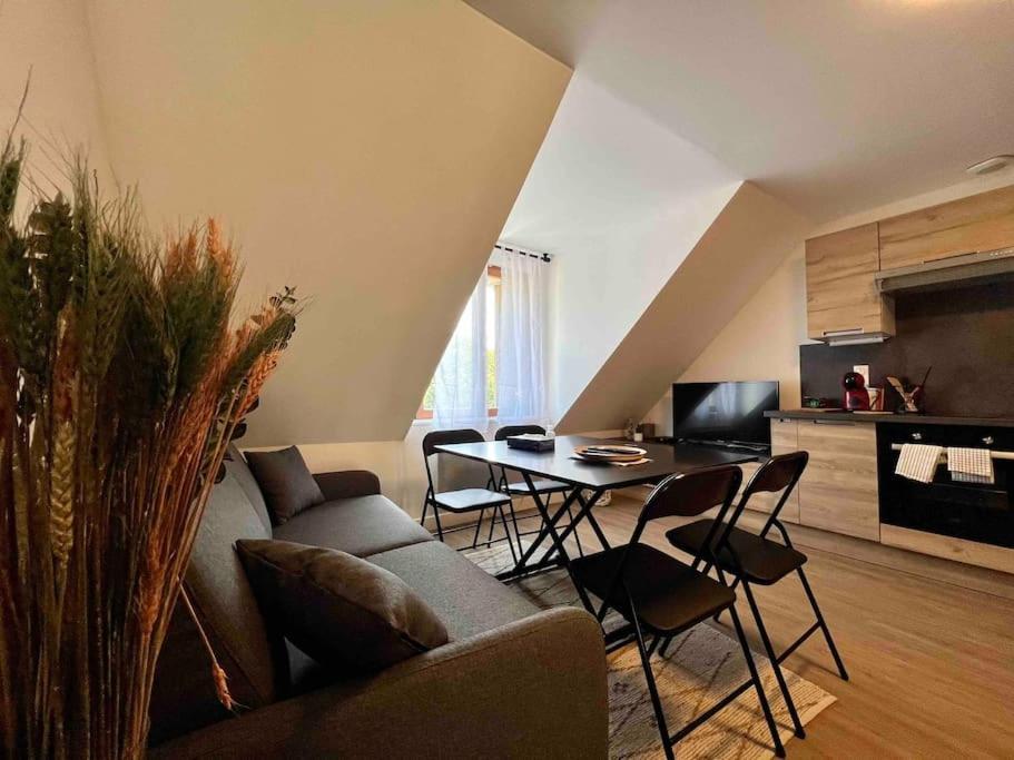 Appartement Centre-Ville / 6 Prsn / Bord Du Doubs / Au Pied De La Citadelle Besançon Eksteriør bilde
